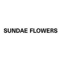 Sundae Flowers